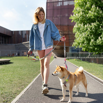The Ultimate Guide to Pet Leashes: Choosing the Best Leash for Your Furry Friend