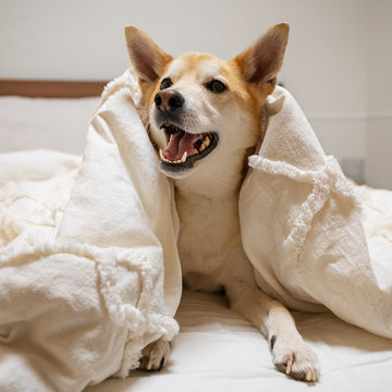 The Ultimate Guide to Pet Bedding Products: Comfort and Support for Your Furry Friends