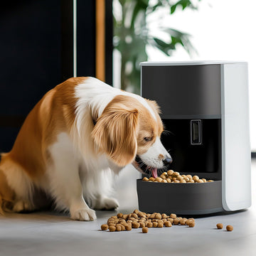 The Ultimate Guide to Pet Feeding Tools: Making Mealtime Easy and Enjoyable