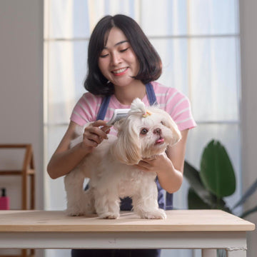 Keeping Your Furry Friends Healthy and Happy